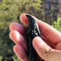 Carved wooden hair stick with black raven, Gothic hair stick